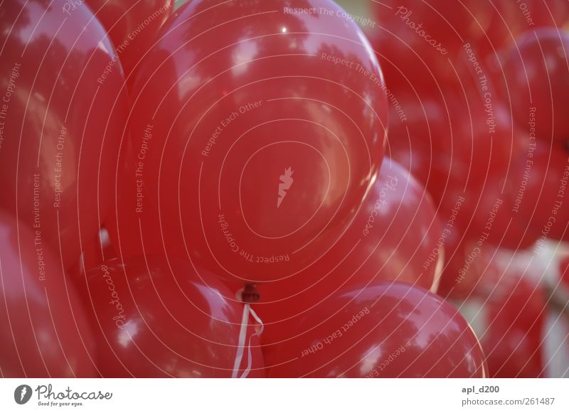 Happy valentine´s day Freizeit & Hobby Veranstaltung Feste & Feiern Valentinstag Luftballon fliegen schön rot silber Freude Glück Helium Ballone Farbfoto