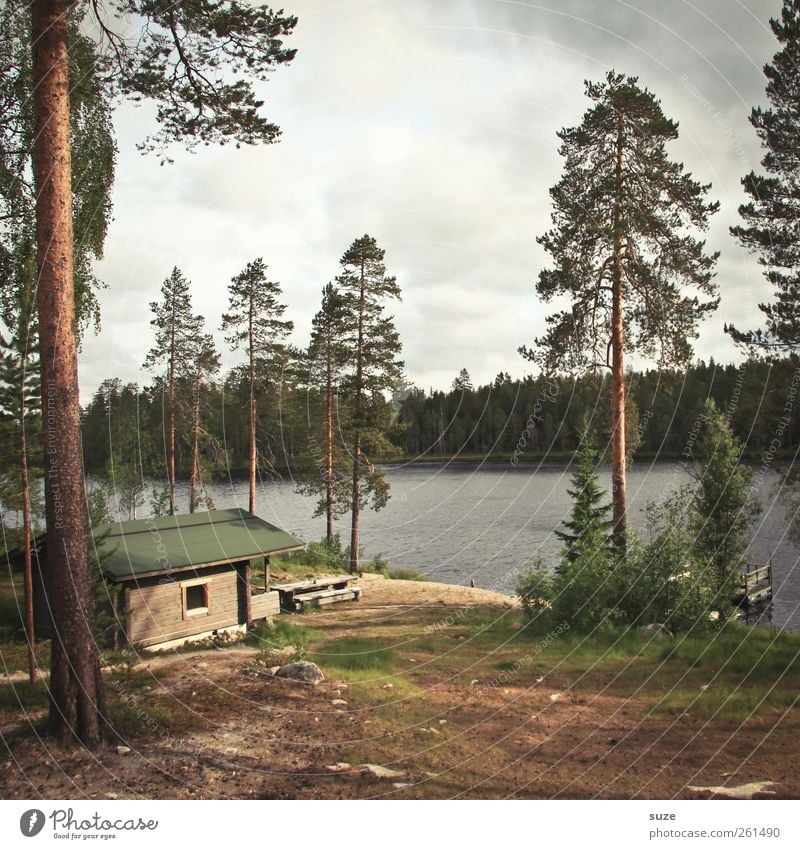 Das Bärenhaus Umwelt Natur Landschaft Pflanze Urelemente Erde Himmel Wolken Wetter Baum Wald Seeufer Hütte braun grün Einsamkeit Idylle Finnland Skandinavien