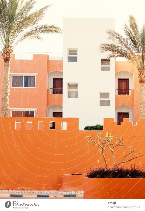 oranje Haus Bauwerk Gebäude Architektur Mauer Wand Fassade Fenster hell Hotel Resort mediterran orange Farbfoto Außenaufnahme Experiment Muster Tag