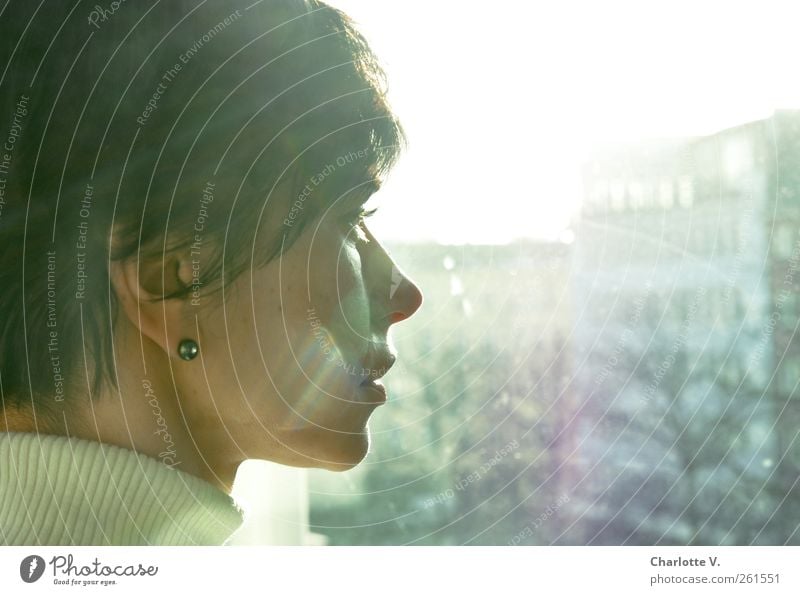 Blick ins Licht Mensch feminin Frau Erwachsene Kopf 1 30-45 Jahre Sonnenlicht Winter Schönes Wetter brünett kurzhaarig Denken leuchten träumen Traurigkeit