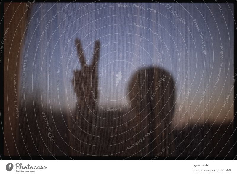 V Gardine Fensterscheibe Sonnenuntergang Reflexion & Spiegelung Frieden Zeichen Erfolg Individualist Rahmen analog Finger Symbolismus gestikulieren Himmel blau