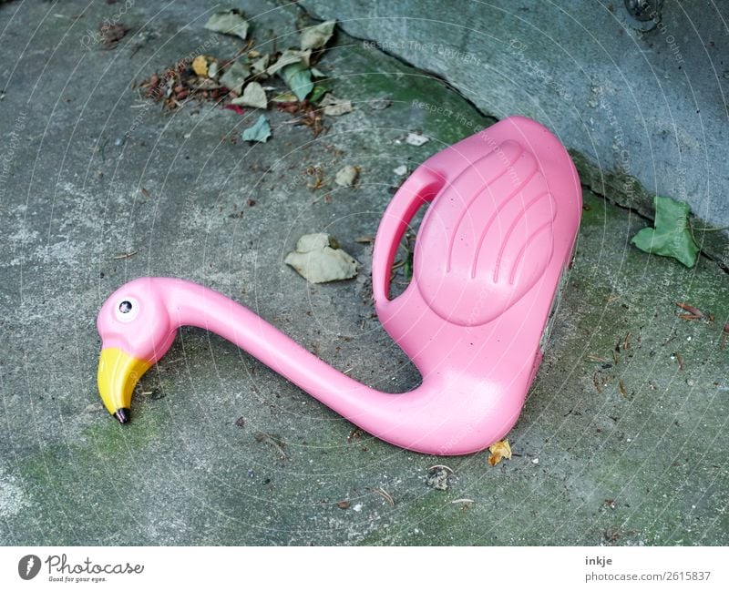 Flamingo im Herbst Freizeit & Hobby Häusliches Leben Menschenleer Terrasse Spielzeug Gießkanne Plastikfigur Beton Kunststoff liegen verblasst Farbfoto