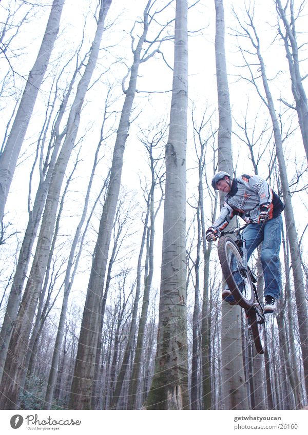 Schrägflug Fahrrad Wald springen Trick Geschwindigkeit Hügel Rampe Mut Baum Extremsport Dirt Bewegung Dynamik Erde Bodenbelag Luftverkehr Außenaufnahme