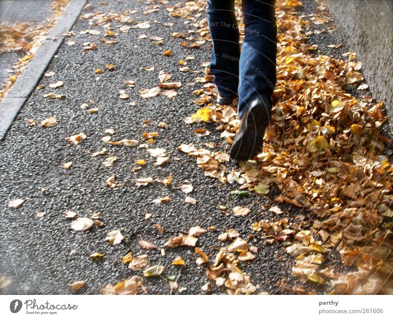Quo vadis? Mensch maskulin Fuß 1 18-30 Jahre Jugendliche Erwachsene Natur Herbst laufen Farbfoto Außenaufnahme Tag Rückansicht