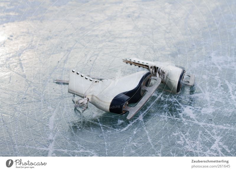 auf Eis gelegt Wintersport Schlittschuhe Frost Schuhe fest kalt Spitze weiß ruhig Ausdauer standhaft Freizeit & Hobby Mobilität Freude gefroren