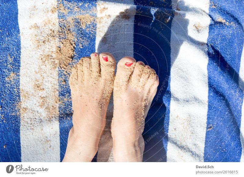 sandige Füße auf blau/ weiß gestreiften Handtuch Ferien & Urlaub & Reisen Tourismus Sommer Sommerurlaub Strand Mensch Frau Erwachsene Fuß 1 Sand Küste genießen