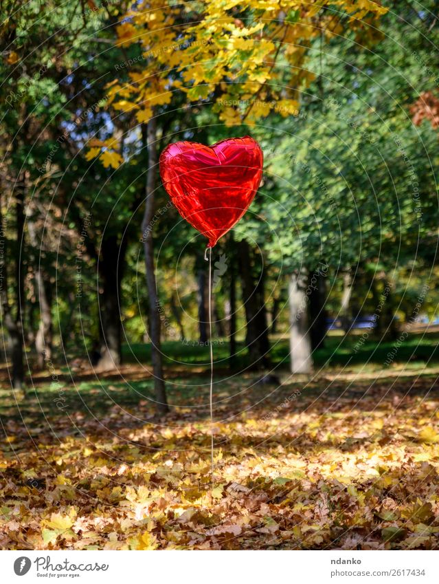 roter Ballon Valentinstag Natur Landschaft Herbst Baum Park Wald Luftballon Herz fliegen Liebe natürlich gelb Stimmung Sympathie Hoffnung Farbe