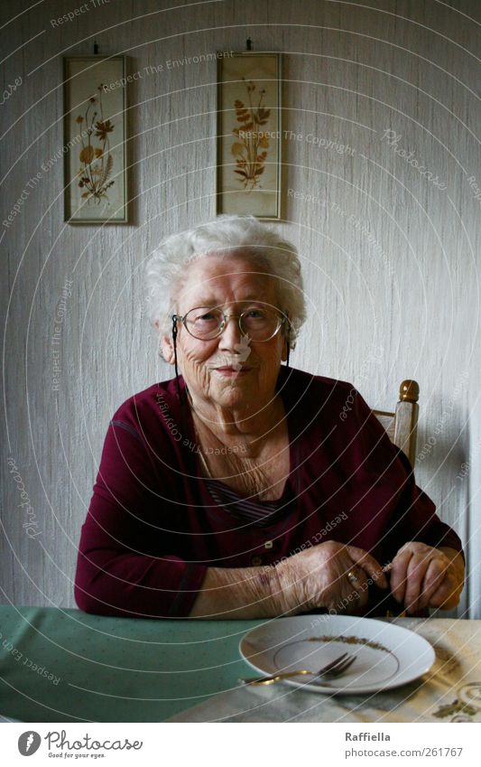 Kuchenzeit Küche feminin Weiblicher Senior Frau Großmutter Haut Hand 60 und älter Brille weißhaarig Locken Blick sitzen warten grün violett Bilderrahmen Stuhl