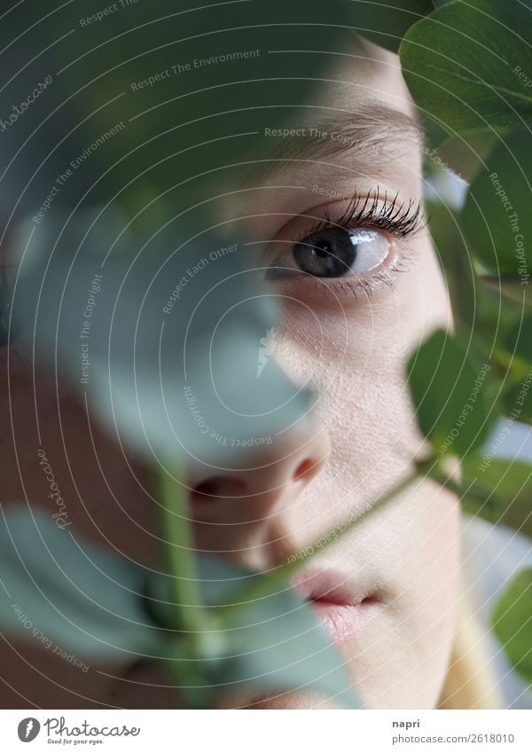 Portrait einer jungen Frau, die durch Eukalyptusblätter in die Kamera blickt feminin Junge Frau Jugendliche Auge 1 Mensch 13-18 Jahre 18-30 Jahre Erwachsene