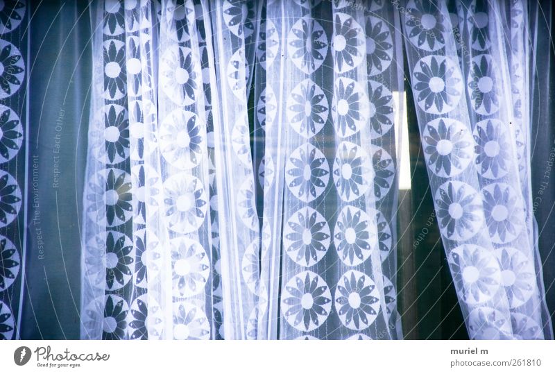 flower curtains Haus Hütte Fenster ästhetisch schön weiß Farbfoto Menschenleer Tag