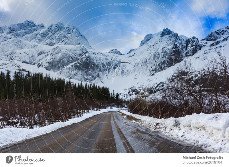 Blick von der nusfjordveien Straße zum bjorntinden Gletscher Schalen & Schüsseln Winter Schnee Berge u. Gebirge Landschaft Baum See Traurigkeit Blauer Himmel