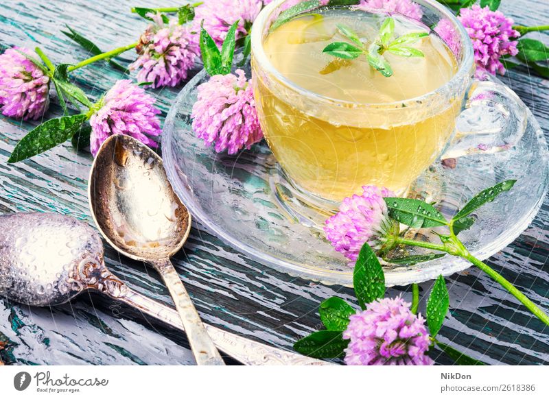 Gesunder Tee mit Klee Kraut Kräuterbuch trinken Gesundheit Tasse Blatt Blume Getränk grün natürlich Medizin Pflanze Blütenblatt Natur aromatisch Teetasse Becher