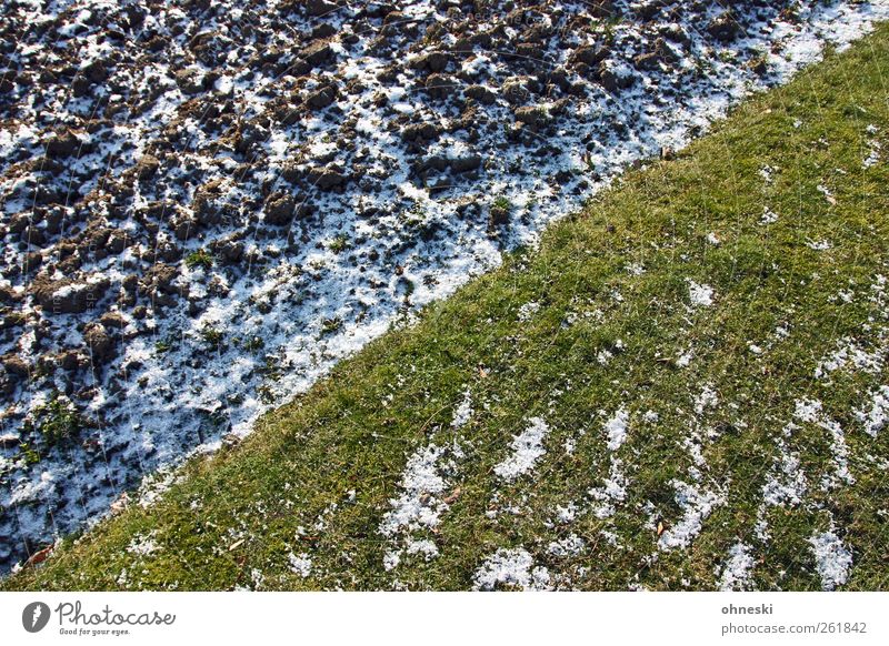 Flagge zeigen Erde Winter Eis Frost Schnee Gras Wiese Feld Linie kalt Leben Farbfoto Außenaufnahme abstrakt Muster Strukturen & Formen Textfreiraum oben