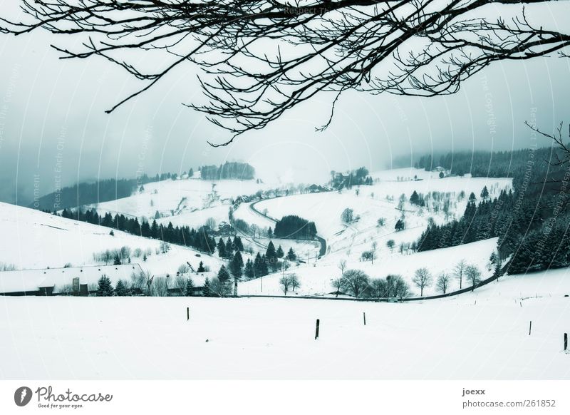~ Landschaft Himmel Wolken Winter Wetter schlechtes Wetter Nebel Schnee Baum Hügel Dorf Straße kalt blau schwarz weiß Idylle Wege & Pfade Ast Farbfoto