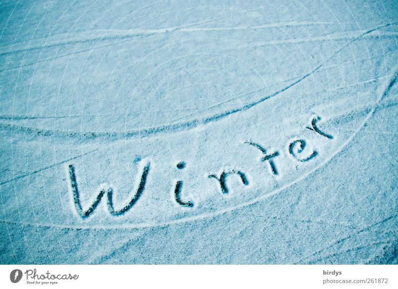 Schrift " Winter " im Schnee auf einer schneebedeckten Eisfläche Klima Schriftzeichen ästhetisch kalt positiv Klimawandel blau Frost Optimismus Bewegung Natur