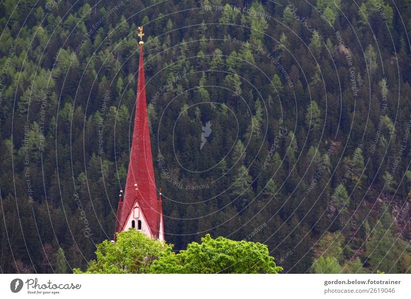 Kleine Kirche, große Wirkung Natur Pflanze Schönes Wetter Tannenbäume Laubbaum Alpen Kirchturmspitze Sehenswürdigkeit Erholung fantastisch blau grau rot weiß