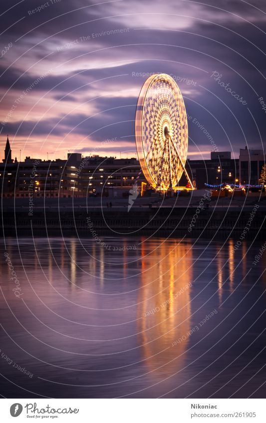 Im Licht des Riesenrads Tourismus Wasser Stadt Skyline Stimmung träumen Farbfoto Außenaufnahme Menschenleer Textfreiraum links Textfreiraum unten Abend