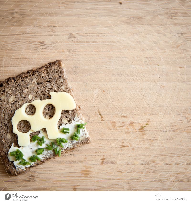 Käsebrot ... Lebensmittel Milcherzeugnisse Brot Ernährung Bioprodukte Vegetarische Ernährung Gesunde Ernährung lecker lustig niedlich braun grün Schnittlauch