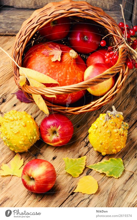 Herbstäpfel und Kürbisse Apfel fallen Hintergrund Lebensmittel organisch Saison Ernte Natur gelb natürlich Frucht orange Gesundheit Gemüse saisonbedingt