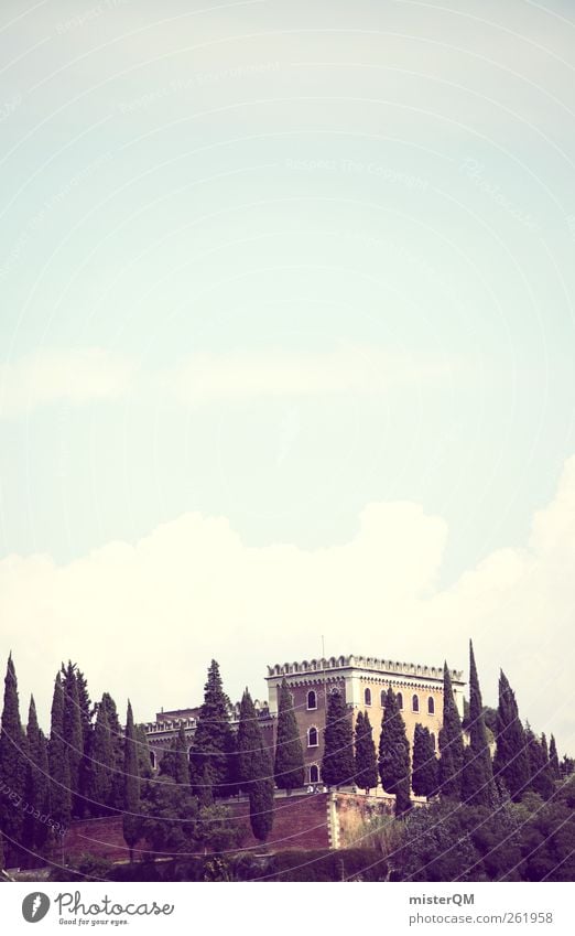 hoch hinaus. Umwelt Natur Landschaft ästhetisch Idylle mediterran Italien Verona Himmel (Jenseits) altmodisch Surrealismus Sommer Sommerurlaub Zypresse