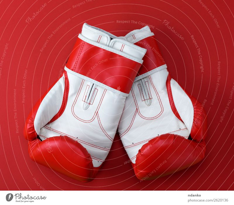 Leder-Boxhandschuhe Lifestyle sportlich Fitness Sport Erfolg Handschuhe oben rot weiß Schutz Farbe Konkurrenz Kreativität Hintergrund Kasten Boxer Boxsport