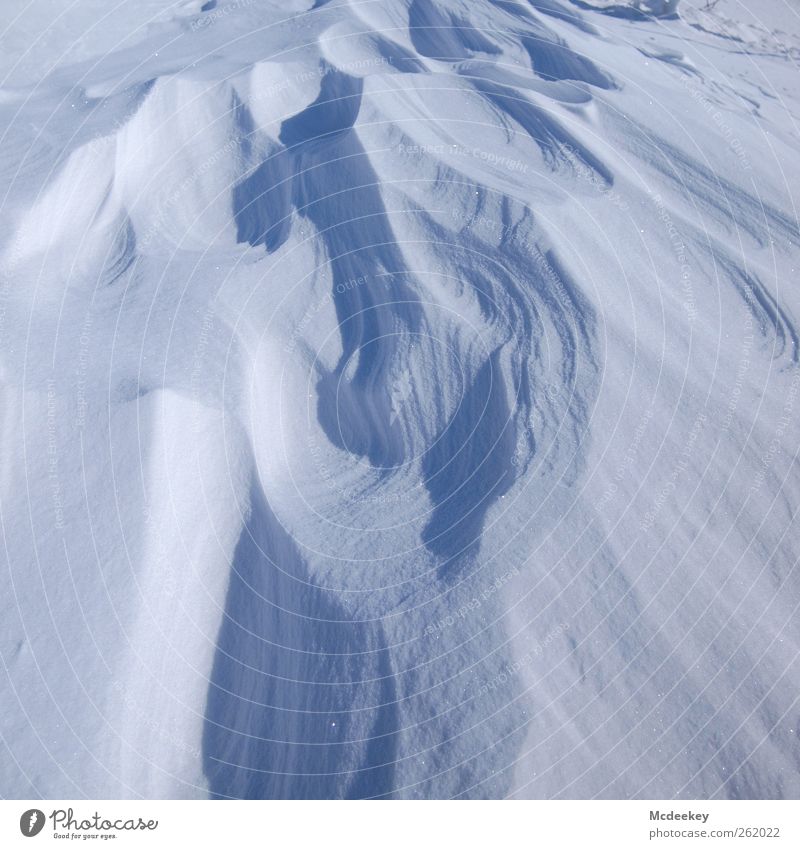Kalte blaue Dünen Umwelt Natur Landschaft Urelemente Wasser Sonne Winter Schönes Wetter Schnee Schneebedeckte Gipfel authentisch Unendlichkeit kalt nass
