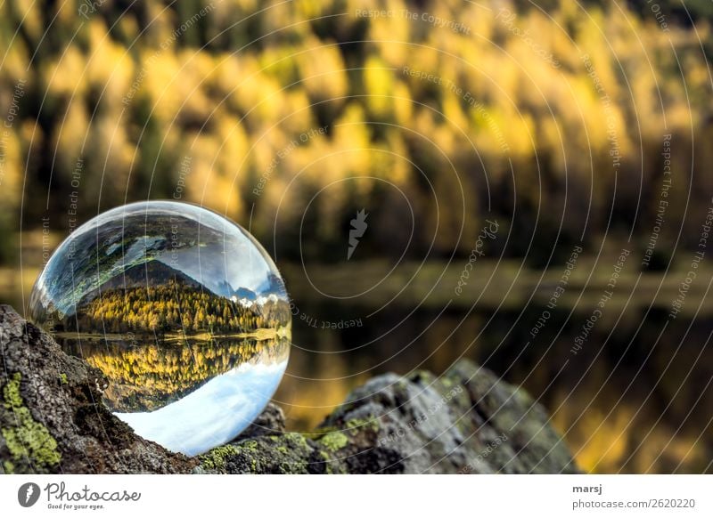 Herbst und See in der Kugel harmonisch Berge u. Gebirge Lärche Wald Alpen Duisitzkarsee Gebirgssee leuchten elegant herbstlich Glaskugel Herbstfärbung Farbfoto