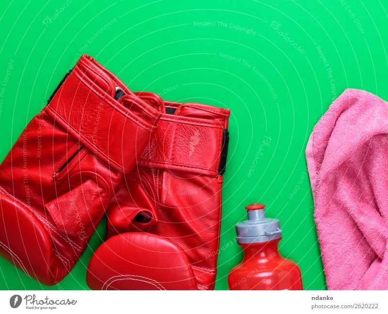 rote Leder-Boxhandschuhe, eine Plastik-Wasserflasche. Flasche Sport Handschuhe Fitness oben grün rosa Schutz Konkurrenz Kreativität Boxsport Paar Gerät Entwurf