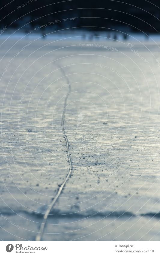 Spuren im Eis #1 Schlittschuhlaufen Wintersport Frost Küste Ostsee elegant blau grau Erfolg Willensstärke Genauigkeit Zufriedenheit kalt Klima Konzentration