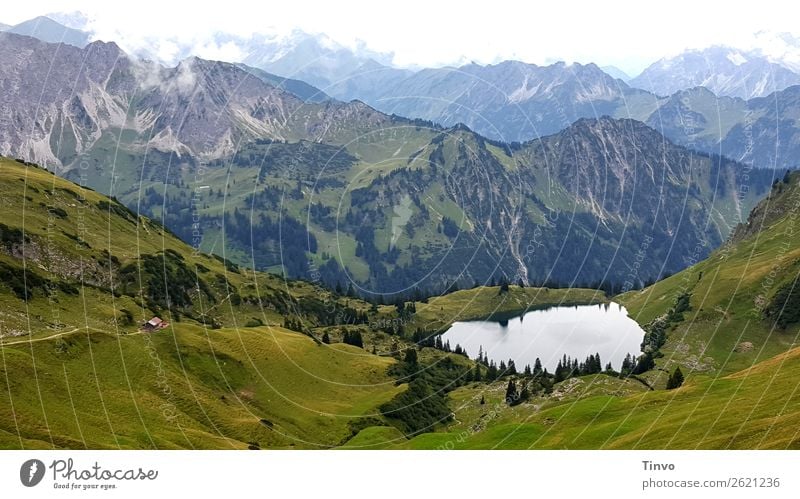 Blick auf den Seealpsee und Allgäuer Alpen Ferien & Urlaub & Reisen Berge u. Gebirge wandern Natur Landschaft Pflanze Wiese Gipfel fantastisch gigantisch