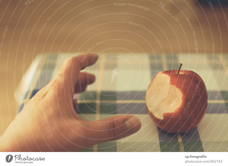 Apple_Day Two Lebensmittel Apfel Ernährung Tisch Tischwäsche Hand berühren Farbfoto Innenaufnahme Kunstlicht Schwache Tiefenschärfe