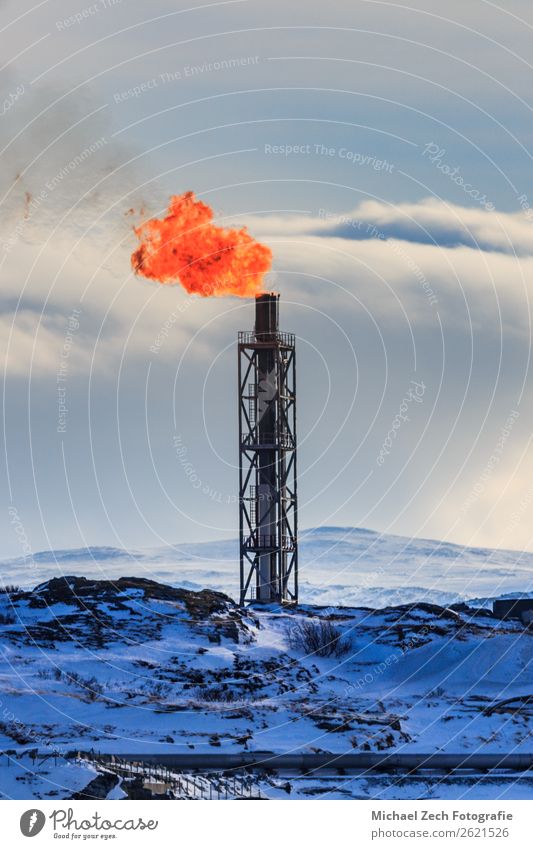 Raffineriefackelverbrennung gefährlicher Gase im Ölfeld Fabrik Wirtschaft Industrie Umwelt Natur Pflanze Himmel Wolken Tube Erdöl natürlich Energie