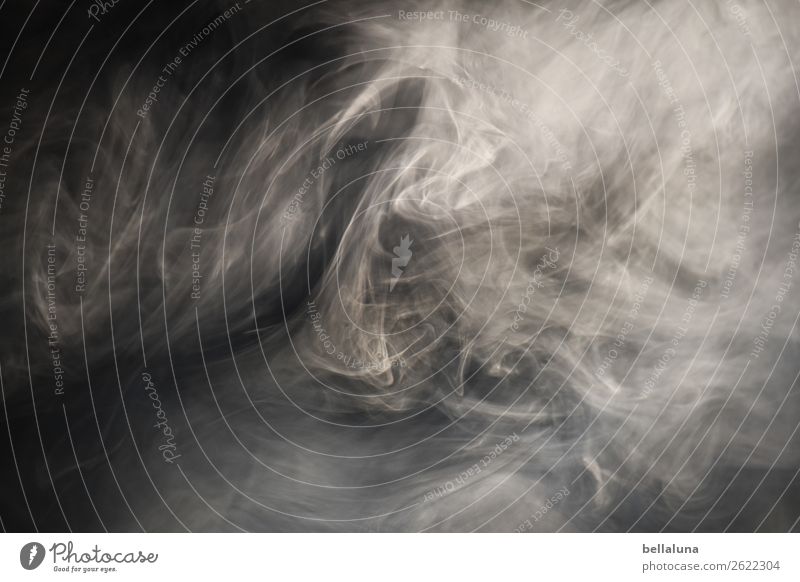 Dunstkreis Natur Luft Sonnenlicht Nebel Menschenleer Bewegung entdecken leuchten Rauchen ästhetisch bedrohlich Coolness dunkel Unendlichkeit gruselig hell kalt