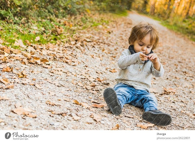 Ein Baby spielt im Herbst auf einem Waldweg. Lifestyle Freude Glück Ferien & Urlaub & Reisen Tourismus Abenteuer Freiheit wandern Halloween Kind Mensch Junge
