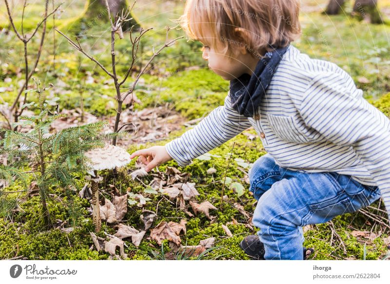 Ein Baby spielt im Herbst auf einem Waldweg. Lifestyle Freude Glück Ferien & Urlaub & Reisen Tourismus Abenteuer Freiheit wandern Halloween Kind Mensch Junge