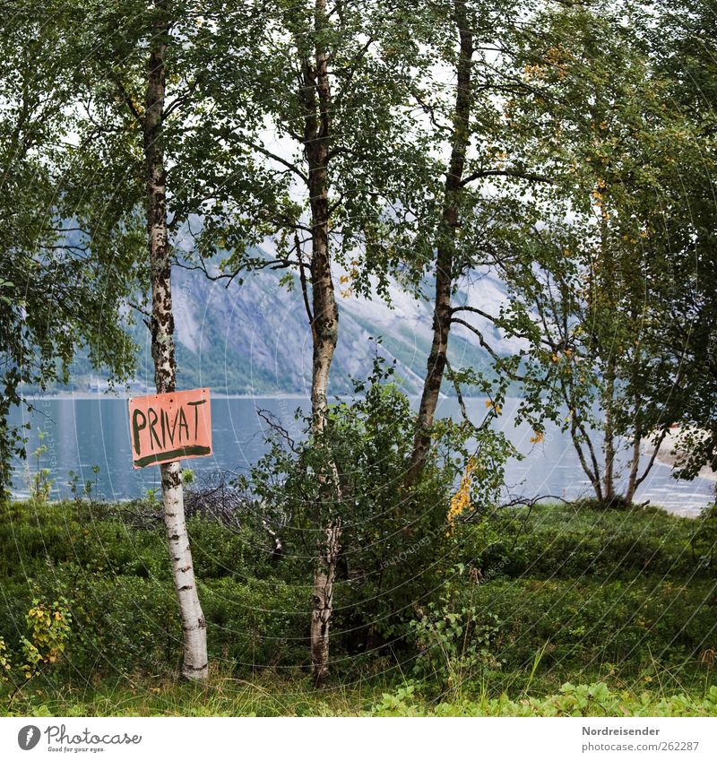 International Reichtum Camping Natur Landschaft Sommer Baum Küste Meer Wege & Pfade Zeichen Schriftzeichen Schilder & Markierungen Hinweisschild Warnschild