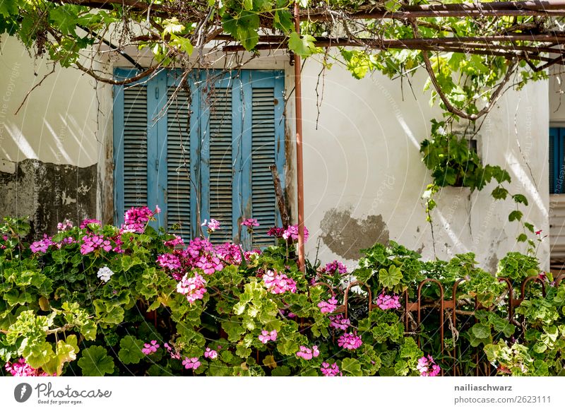 Impressionen aus Kreta im Sommer Crete Griechenland sonnig Urlaub reisen Eindruck Haus Gebäude Örtlichkeit malerisch Landschaft Natur hafen Straße Portwein