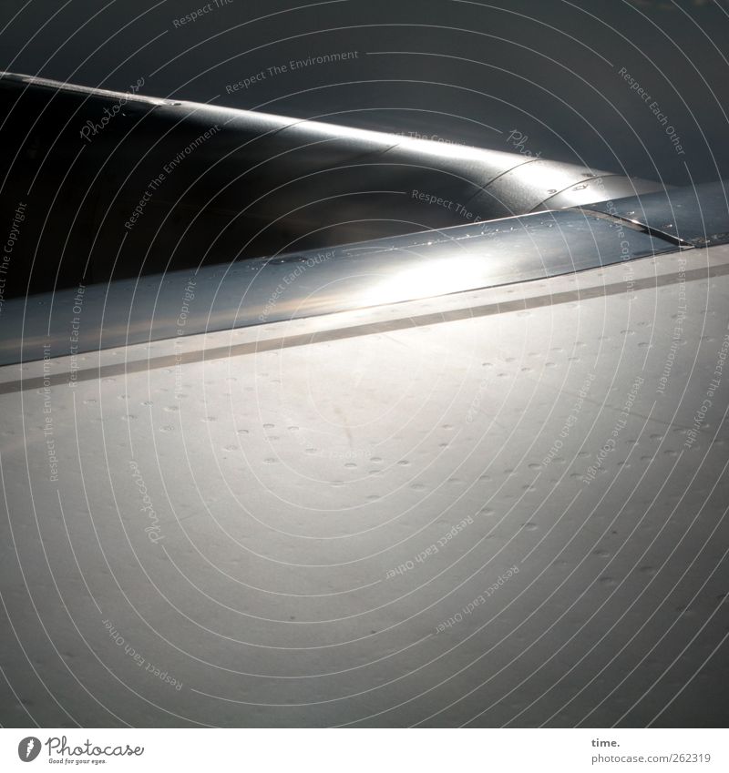 Air Whale Riding Luftverkehr Flugzeug Passagierflugzeug Endzeitstimmung geheimnisvoll Surrealismus Tragfläche gleißend Metallwaren Oberfläche