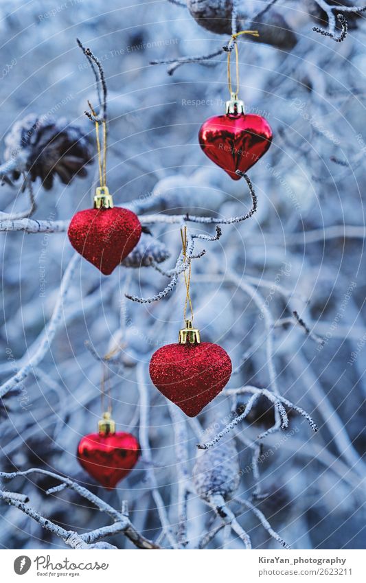 Rote weihnachtliche herzförmige Kugeln auf Ästen Design Winter Schnee Dekoration & Verzierung Feste & Feiern Weihnachten & Advent Baum Herz neu blau rot