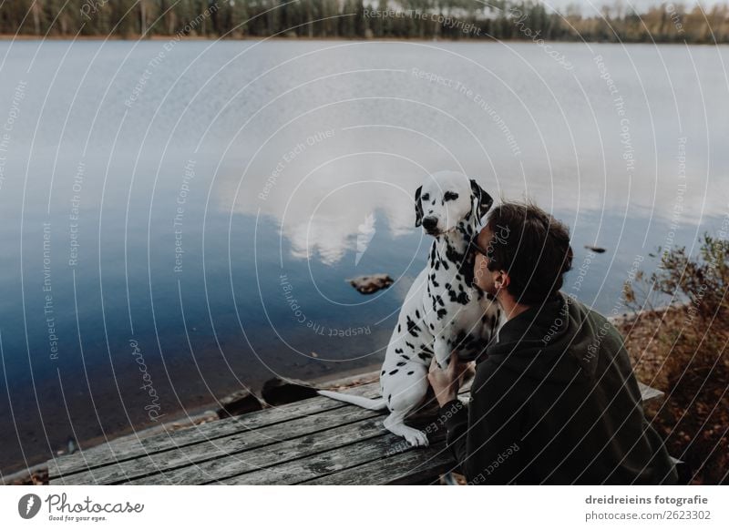 Hund Dalmatiner sitzt mit Mann Herrchen am See maskulin Erwachsene Natur Landschaft Wasser Seeufer Fluss Haustier Erholung genießen natürlich Geborgenheit loyal
