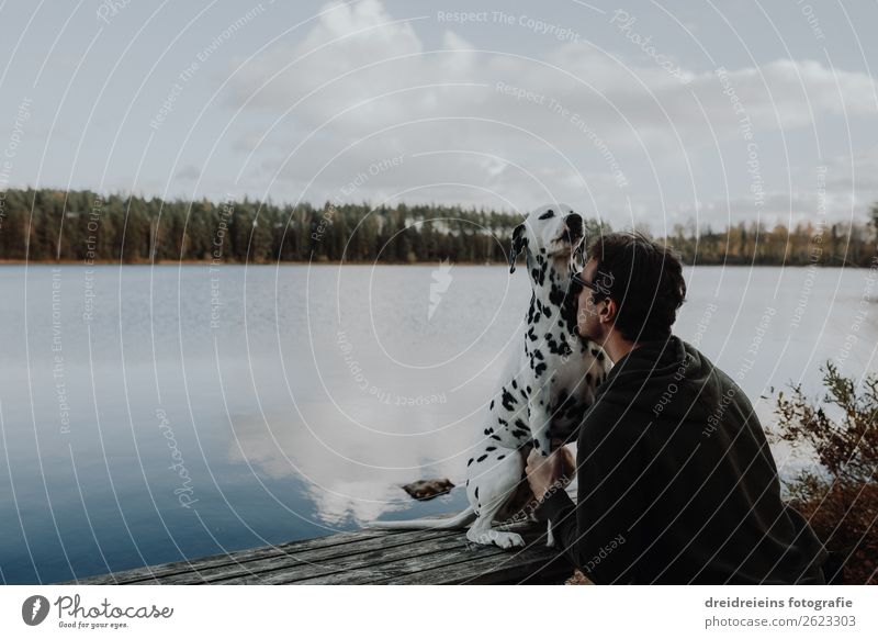 Herrchen und Hund schmusen kuscheln am See in Schweden Ferien & Urlaub & Reisen Tourismus Abenteuer maskulin Mann Erwachsene 1 Mensch Natur Landschaft Herbst