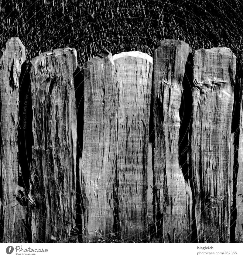 Bretterzaun Zaun Holz alt grau verwittert verfallen Schwarzweißfoto Außenaufnahme Menschenleer Tag