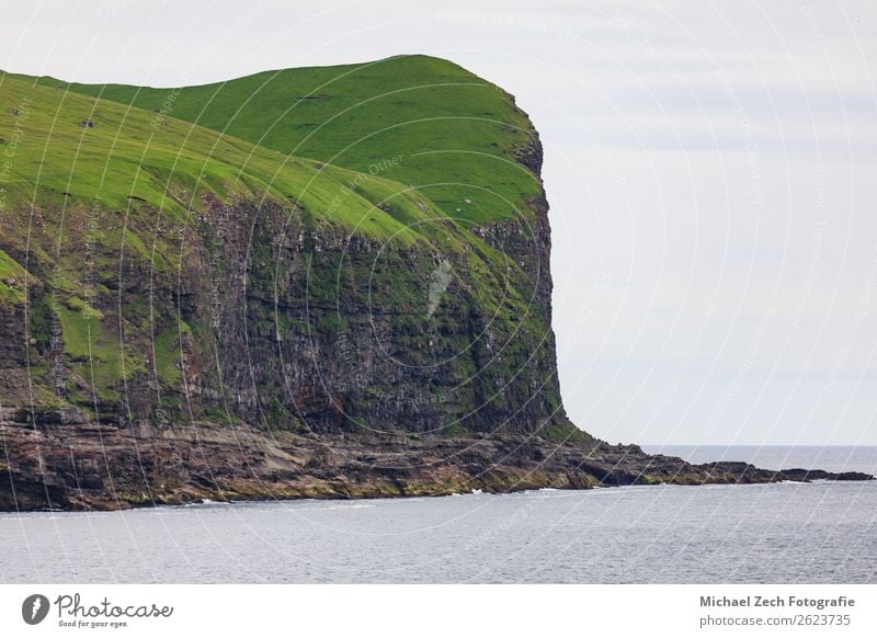 Landschaft auf den Färöer-Inseln mit Meer und Klippen schön Berge u. Gebirge Natur Himmel Wolken Gras Wiese Felsen Küste Wasserfahrzeug Stein natürlich grau