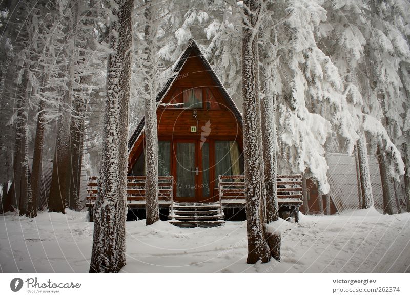 Winterhütte Ferien & Urlaub & Reisen Tourismus Schnee Winterurlaub Berge u. Gebirge Haus Natur Eis Frost Baum Wald Hütte kalt weiß Sicherheit Schutz Einsamkeit