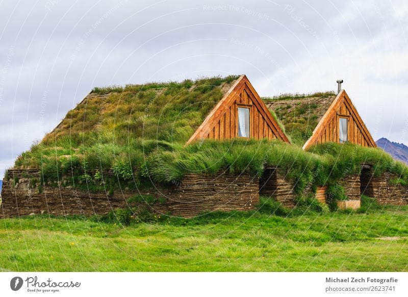zwei Gewächshäuser mit Grasdach in Island im Sommer Haus Wiese Felsen Hütte Gebäude Architektur Dach Holz grün Ackerbau Hütten Tür Bauernhof Feld isländisch
