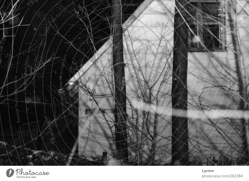 stockfinster die nacht Haus Natur Winter Baum alt dunkel gruselig grau schwarz weiß Wohnhaus Schwarzweißfoto Außenaufnahme Menschenleer Nacht Zweige u. Äste
