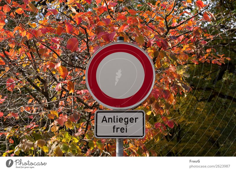 Anlieger frei Herbst Sträucher Blatt Verkehrszeichen Verkehrsschild leuchten mehrfarbig Verbote Ausnahme Vorschriftzeichen Licht Herbstfärbung Farbfoto