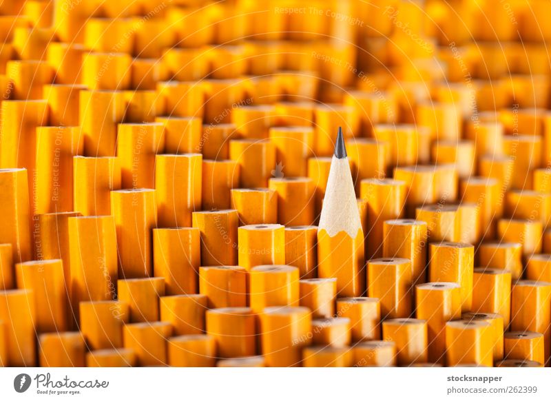 Bleistifte Menschenleer einzeln Verschiedenheit beste Stillleben außergewöhnlich Single einzigartig nach oben auffallend Graphit gelb Objektfotografie Tipp