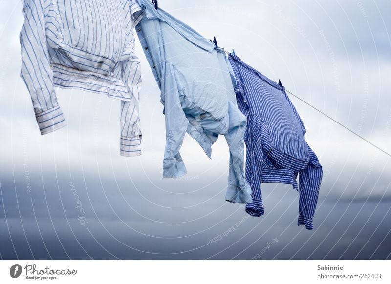 Angeleint Himmel Wolken Wind Bekleidung Hemd gestreift Streifen ästhetisch schön blau weiß Wäsche Wäscheleine Wäscheklammern Wäsche waschen trocknen leicht