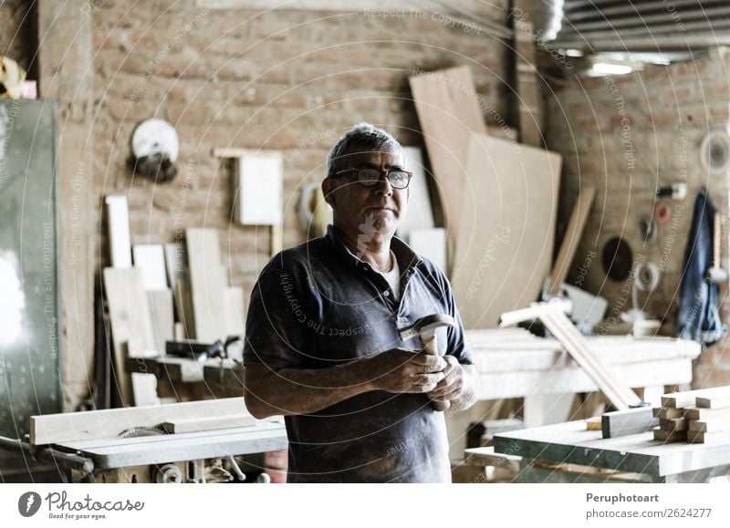 Porträt eines älteren Zimmermanns. kaufen Glück Arbeit & Erwerbstätigkeit Handwerker Industrie Mensch Mann Erwachsene Großvater Arme alt stehen selbstbewußt